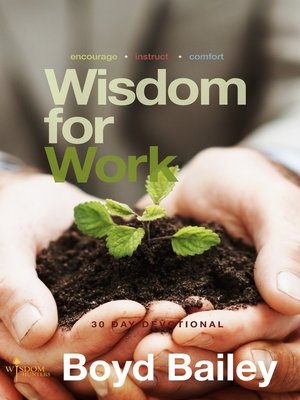 cover image of Wisdom for Work